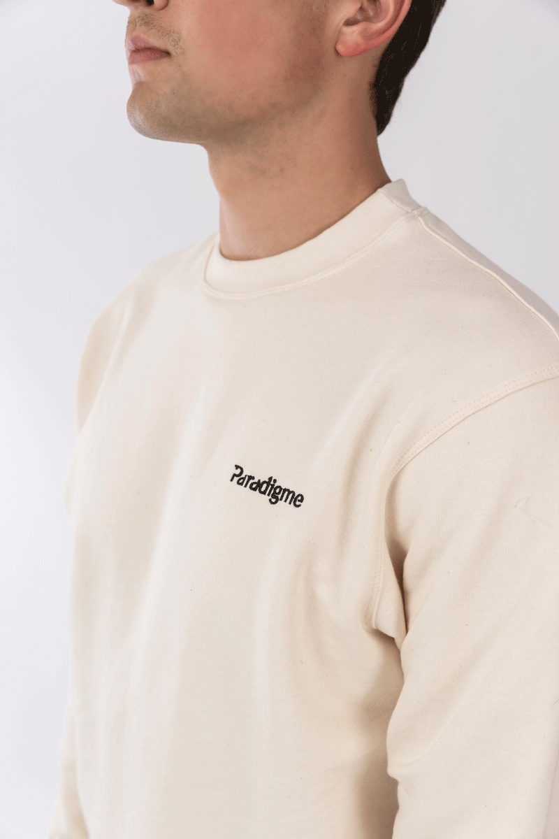 pull col rond homme